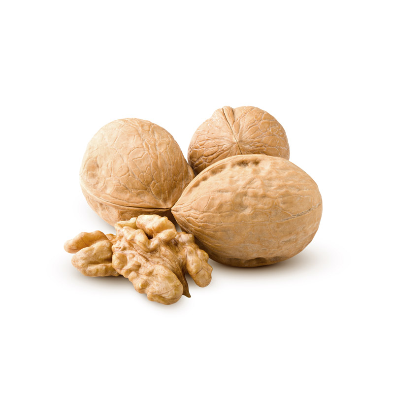 Sit voluptatem rhoncus sem lectus