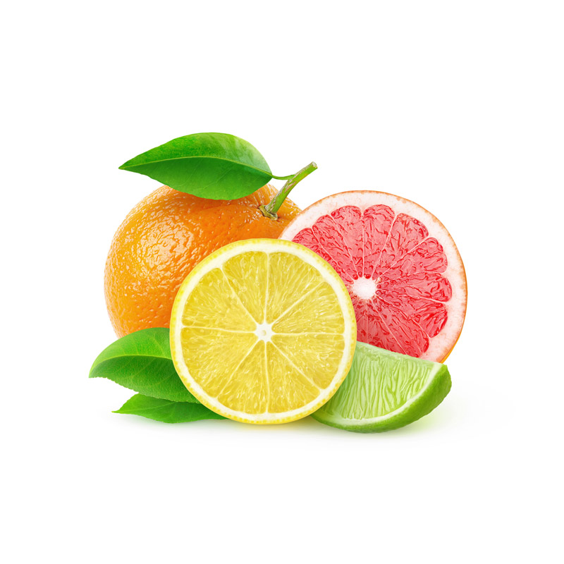 Officiis debitis varius risus dignissim